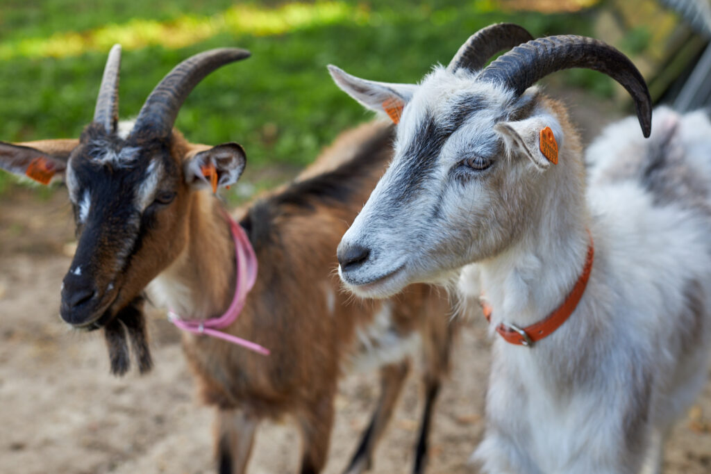 _18A0533_warsztaty_male