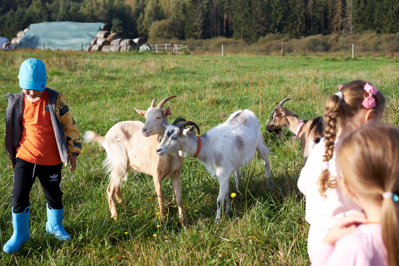 _18A0612_warsztaty_male